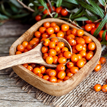 Облепиха очищенная дикорастущая замороженная Экстра 500 г Фото Облепиха очищенная дикорастущая замороженная Экстра 500 г