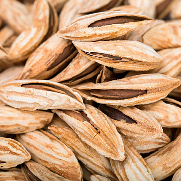 Миндаль неочищенный (в скорлупе) Фото Миндаль неочищенный (в скорлупе)