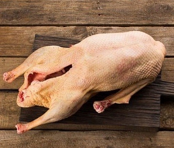 Гусь (дикий) осенний 2022-2023 Фото Гусь (дикий) осенний 2022-2023