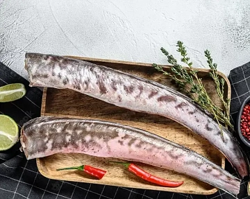 Конгрио свежемороженая 500-1000 Фото Конгрио свежемороженая 500-1000