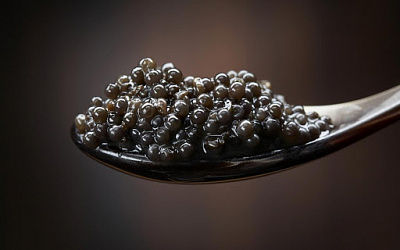 Превью Икра белуги дойная (стеклянная банка) 100 г