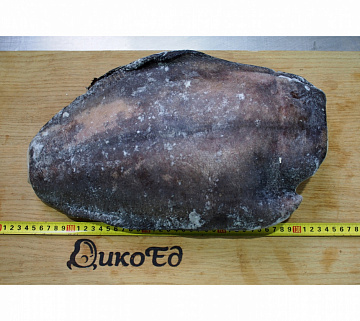 Палтус тихоокеанский синекорый (5+ кг)потрошеный без головы Фото Палтус тихоокеанский синекорый (5+ кг)потрошеный без головы