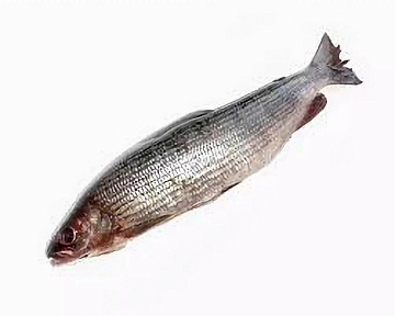 Хариус солёномороженный Фото Хариус солёномороженный