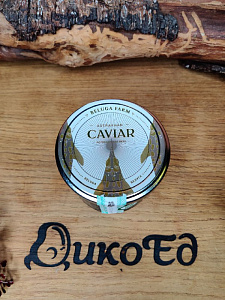 Превью Икра белуги дойная (стеклянная банка) 200 г