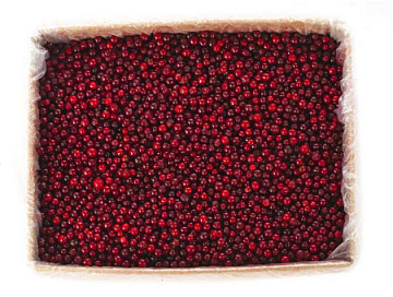 Брусника дикая замороженная (мешок 30кг) Фото Брусника дикая замороженная (мешок 30кг)