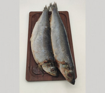 Сельдь черноморская свежемороженая Фото Сельдь черноморская свежемороженая