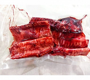 Трахея косули Фото Трахея косули