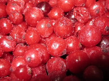Красная смородина быстрозамороженная 500 г УЦЕНКА  Фото Красная смородина быстрозамороженная 500 г УЦЕНКА