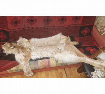 Фото Ковер из рыси 110 см без когтей