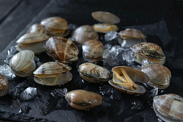 Фото Клемы Вонголе в раковине в/м 21/30