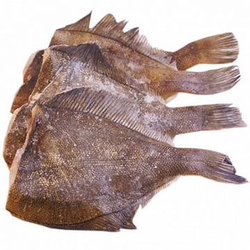 Камбала белобрюхая ПБГ(коробка 22кг) Фото Камбала белобрюхая ПБГ(коробка 22кг)