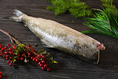 Превью Чавыча штучной заморозки потрошеная без головы  1-3 кг